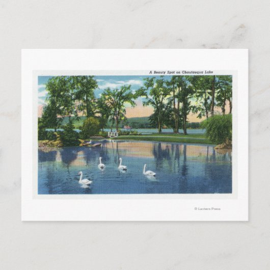 湖の白鳥の絶景 ポストカード (正面)