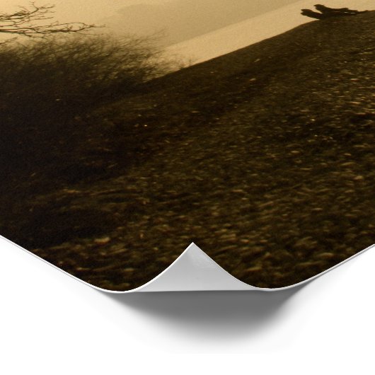 湖の白鳥 ポスター (角)