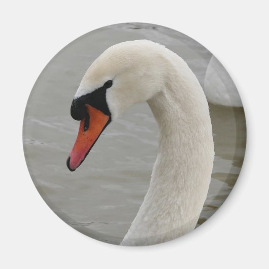 湖の白鳥 マグネット (正面)