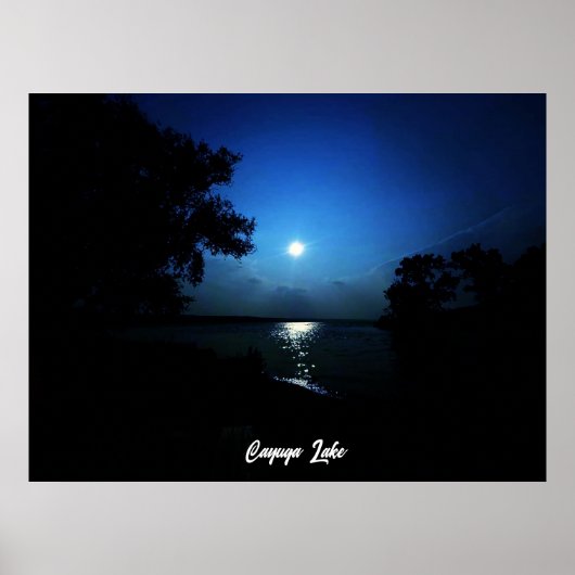 湖の真夜中 ポスター (正面)