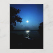 湖の真夜中 ポストカード (正面)