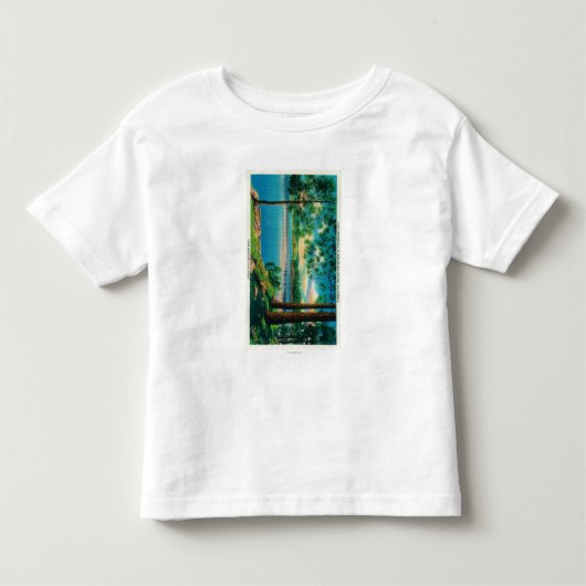 湖の矢じりの入江ポイントを浸すこと トドラーTシャツ (正面)