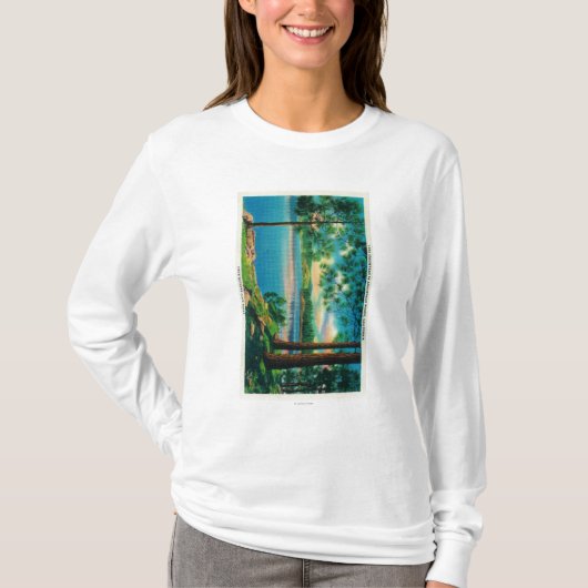 湖の矢じりの入江ポイントを浸すこと Tシャツ (正面)