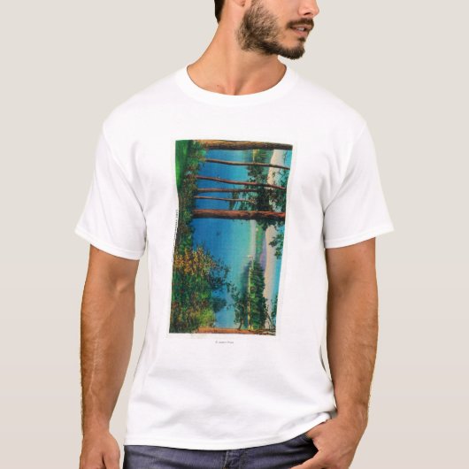 湖の矢じりのViewLakeの矢じり、カリフォルニア Tシャツ (正面)