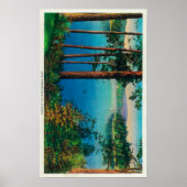 湖の矢印ビュー湖の矢印， CA ポスター (正面)