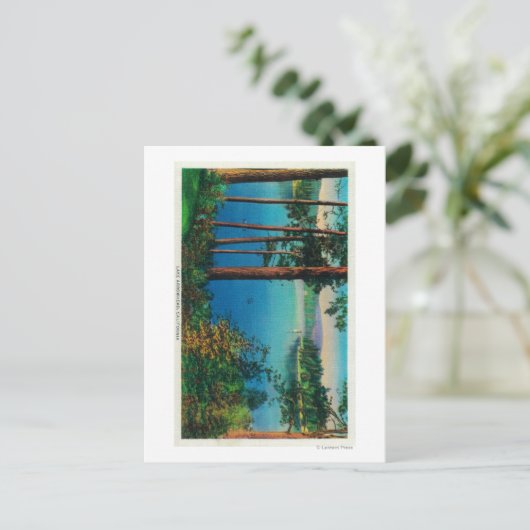 湖の矢印ビュー湖の矢印, CA ポストカード (スタンド正面)