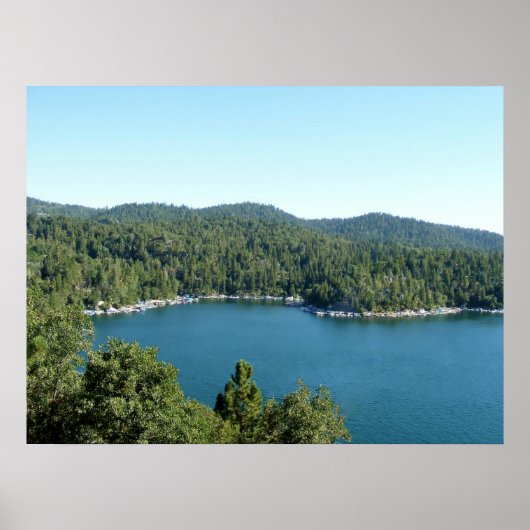 湖の矢印 ポスター (正面)