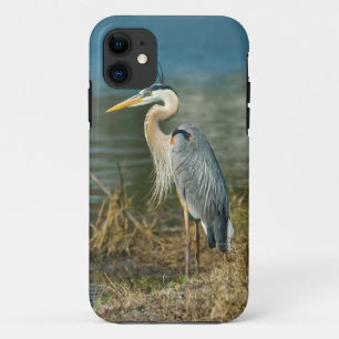 湖の素晴らしい青鷲 iPhone 11 ケース