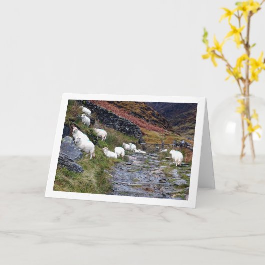 湖の羊 カード (黄色い花)