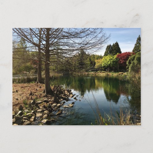 湖の美しい写真 ポストカード (正面)