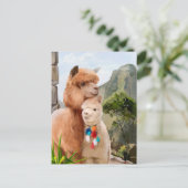 湖の背景に2つのふわふわのアルパカ ポストカード (スタンド正面)