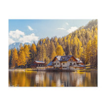 湖の自然美しい