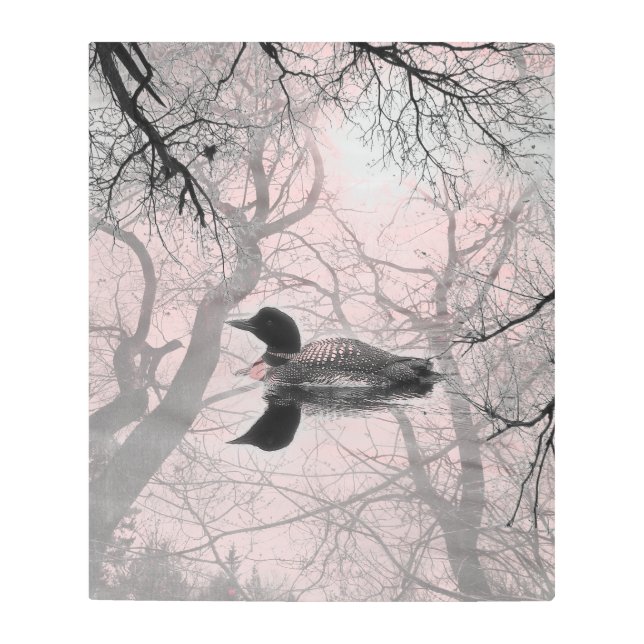 湖の金属のプリントのピンクの白黒水潜り鳥 メタルプリント (正面)