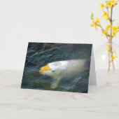 湖の金魚 カード (黄色い花)