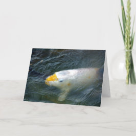 湖の金魚 カード