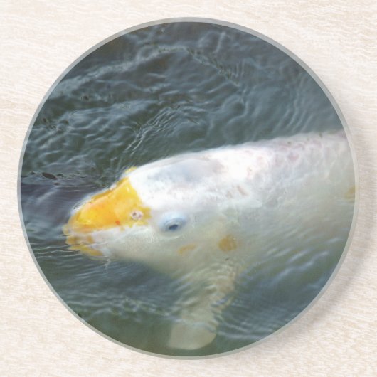 湖の金魚 コースター (正面)
