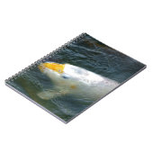 湖の金魚 ノートブック (左側)