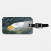 湖の金魚 ラゲッジタグ (正面横)