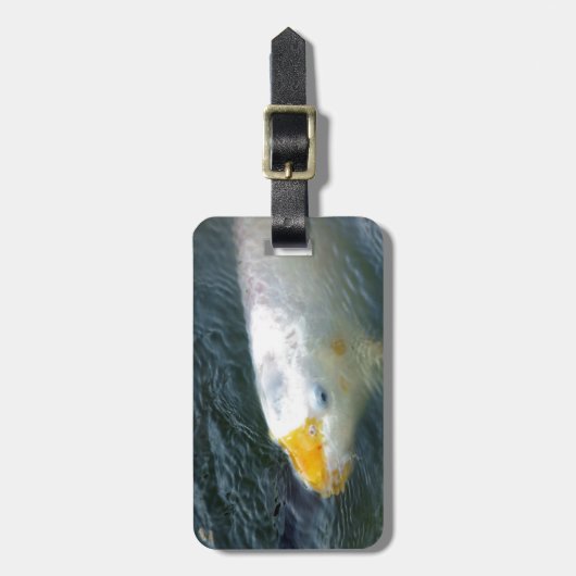 湖の金魚 ラゲッジタグ (正面縦)
