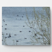 湖の鳥のプレート フォトプラーク (正面)