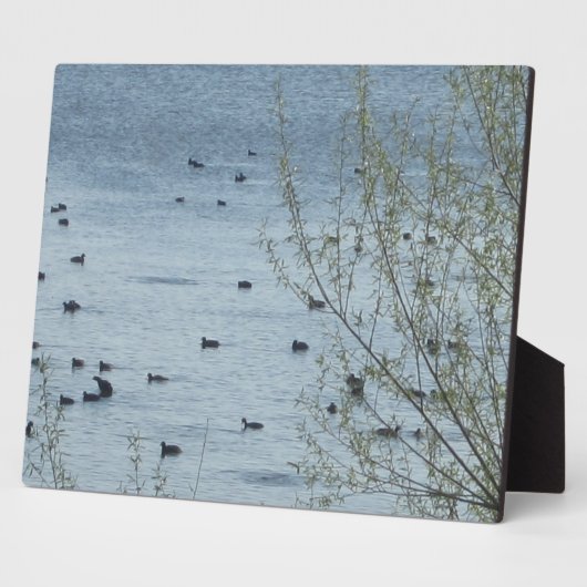湖の鳥のプレート フォトプラーク (側面)