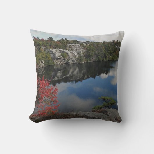 湖のMinnwaskaの枕 クッション (正面)