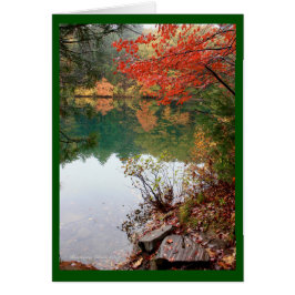 湖は地球の目です