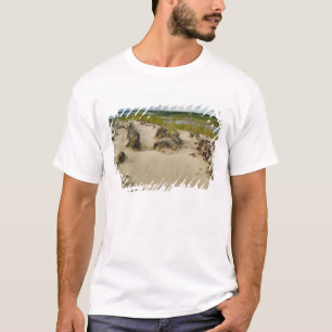 湖や丘陵を望む砂丘の頂上からの眺め Tシャツ