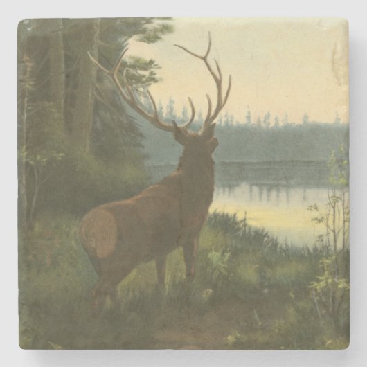 湖を見下ろすエルクのバックビュー ストーンコースター (正面)