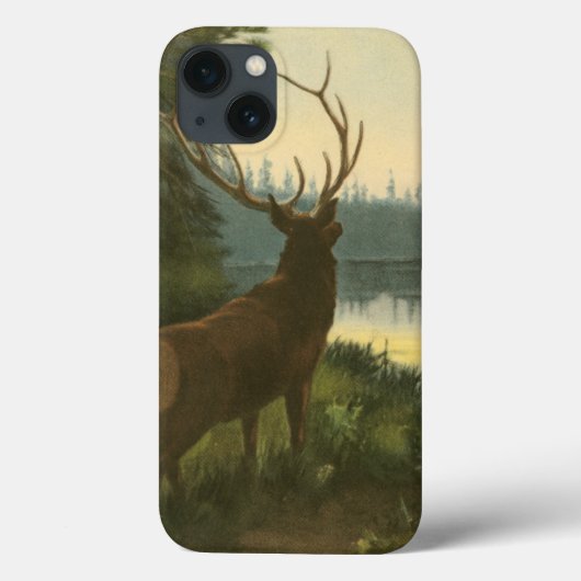 湖を見下ろすエルクのバックビュー Case-Mate iPhoneケース (裏面)