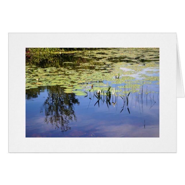 湖キャロライン (正面横)