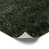 湖ビューでスイング ポスター (角)