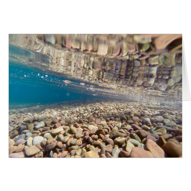 湖マクドナルドの水の下 (正面横)