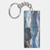 湖マクドナルド キーホルダー (正面左)