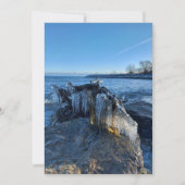 湖凍っていの横の氷柱 (正面)