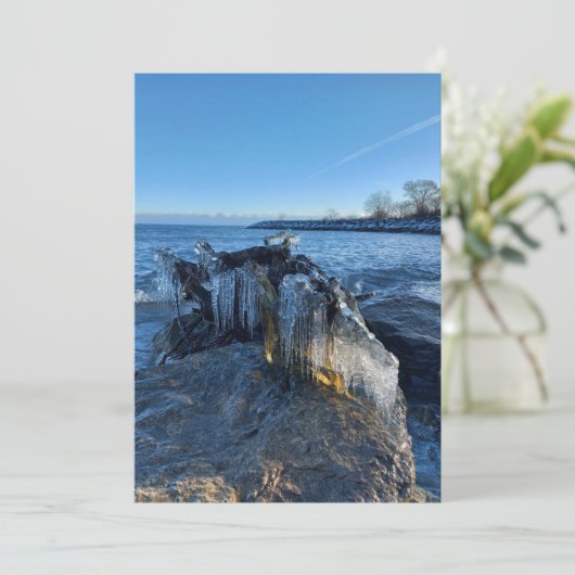 湖凍っていの横の氷柱 (スタンド正面)