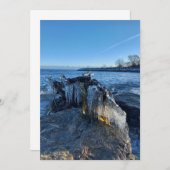 湖凍っていの横の氷柱 (正面/裏面)