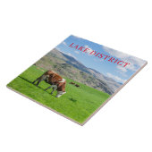 湖地区の牛の放牧ビューセラミックタイル タイル (側面)