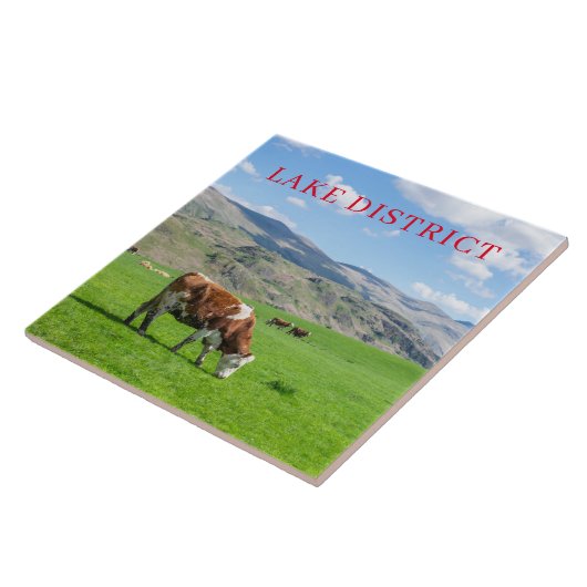 湖地区の牛の放牧ビューセラミックタイル タイル (側面)