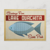 湖大内田州パークフィッシュヴィンテージトラベル ポストカード (正面)