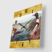 湖水で泳ぐアメリカのマガモ スクエア壁時計 (傾斜)