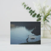 湖畔の夕焼けのサギ ポストカード (スタンド正面)