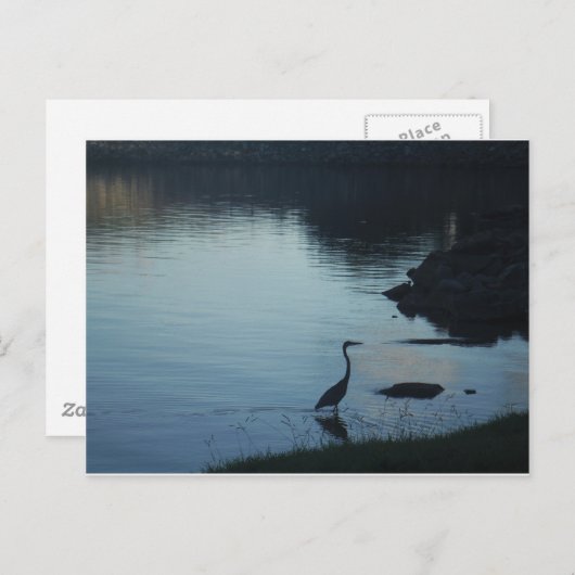 湖畔の夕焼けのサギ ポストカード (正面/裏面)