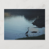 湖畔の夕焼けのサギ ポストカード (正面)