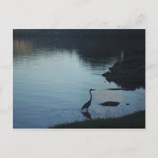 湖畔の夕焼けのサギ ポストカード (正面)