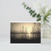 湖畔の木々と夕日 ポストカード (スタンド正面)