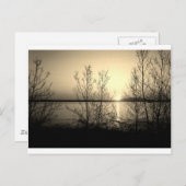 湖畔の木々と夕日 ポストカード (正面/裏面)