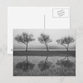 湖畔の木々 ポストカード (正面/裏面)