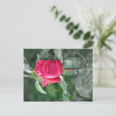 湖畔の花 - 赤いバラの蕾 ポストカード (スタンド正面)