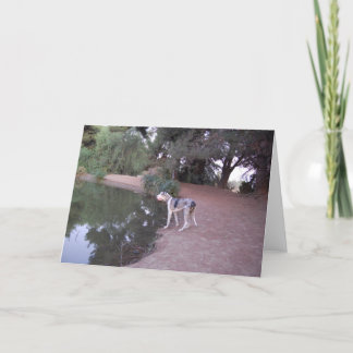 湖畔犬カード カード